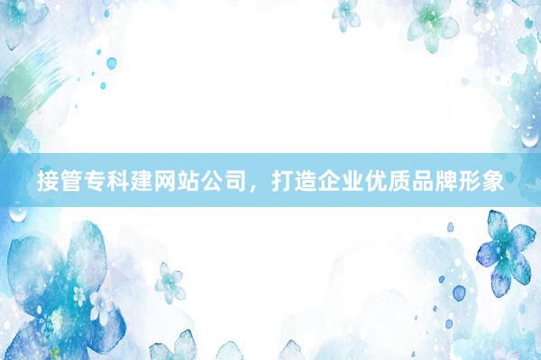 接管专科建网站公司，打造企业优质品牌形象