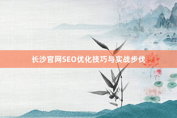 长沙官网SEO优化技巧与实战步伐