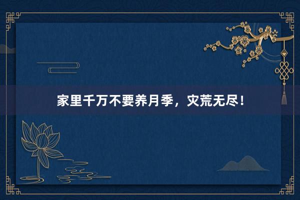 家里千万不要养月季，灾荒无尽！
